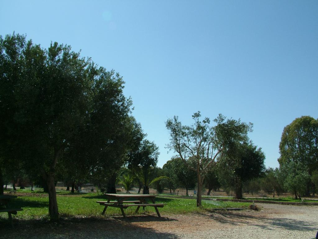 Agriturismo "Terra D'Ulivi" Villa Porto Cesareo Ruang foto